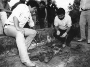 LA HISTORIA DE LOS NARCO SATANICOS La Opini n De Matamoros