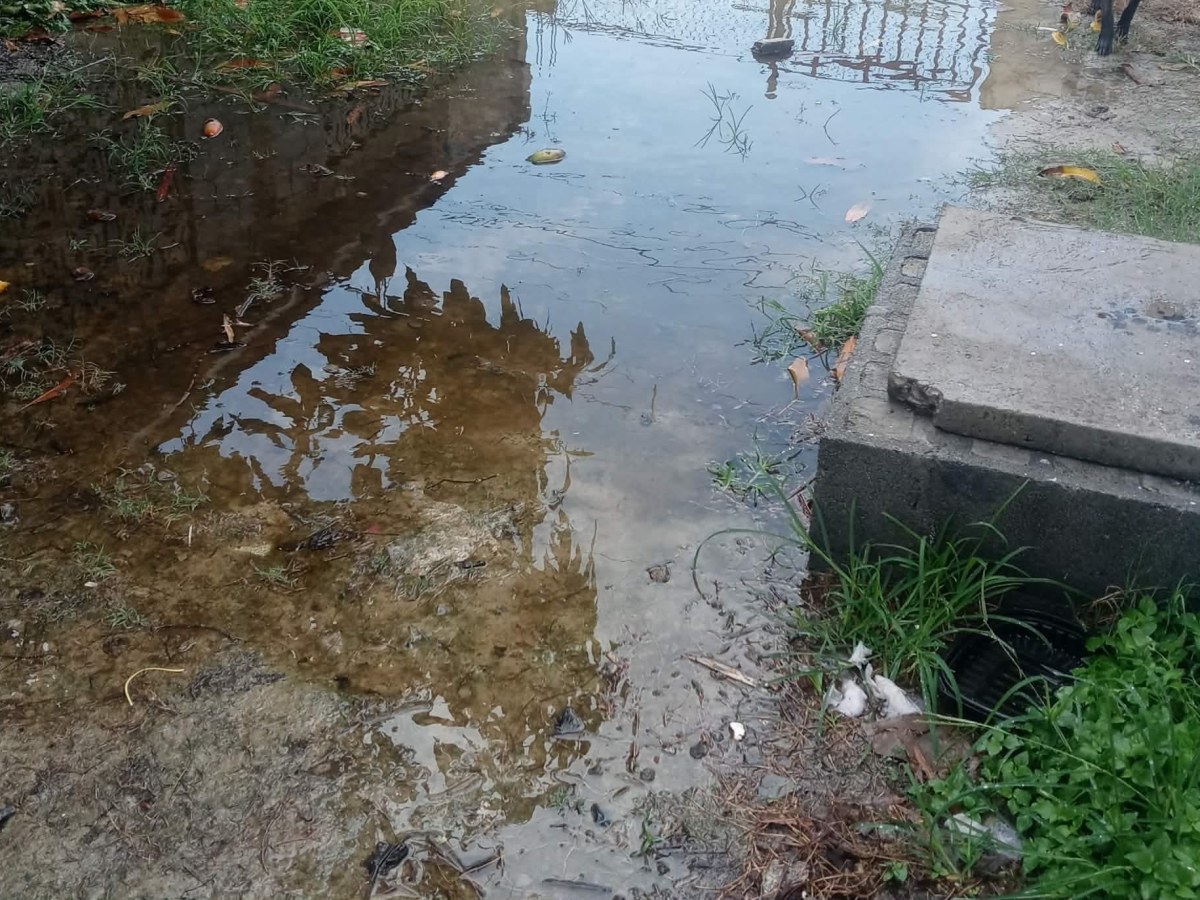 Matamoros | Vecinos pidieron ayuda de la JAD y Municipio, pero los&nbsp;ignoran.